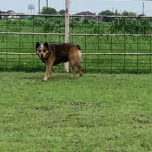 Meet your Posher, Eb